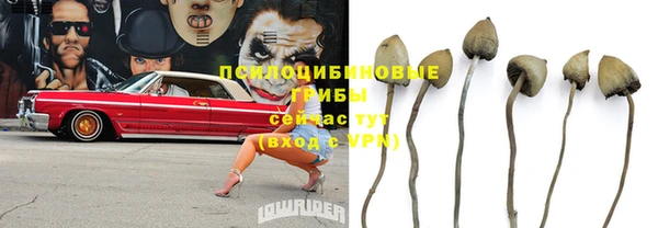 ALPHA PVP Бугульма