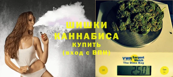 хмурый Бронницы
