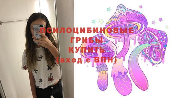 мдма Бородино