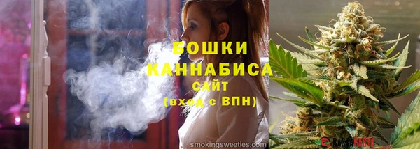 сатива Тобольск